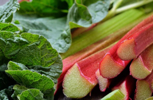 รูห์บาบแดง / รูห์บับแดง (Rhubarb Glaskins Perpetual) / 20 เม็ด (UK)