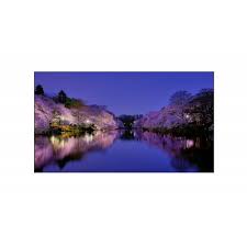 Hisense Video Wall 55L18H5K