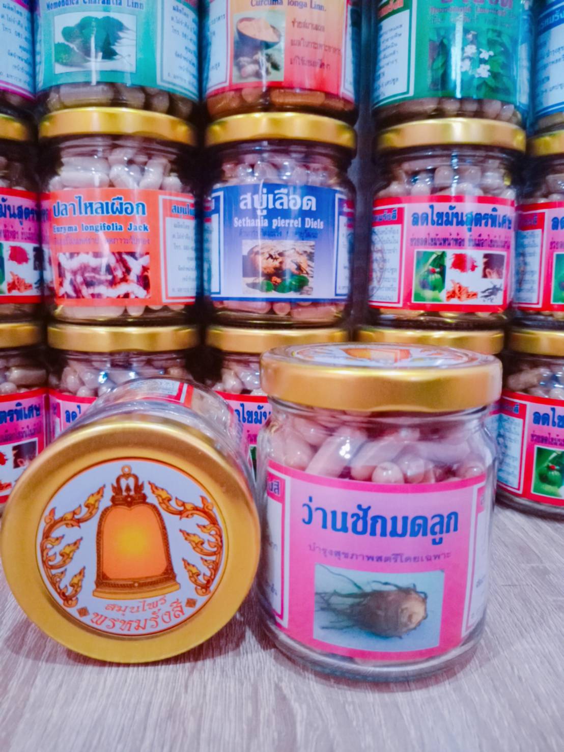 ว่านชักมดลูก สมุนไพรพรหมรังสี