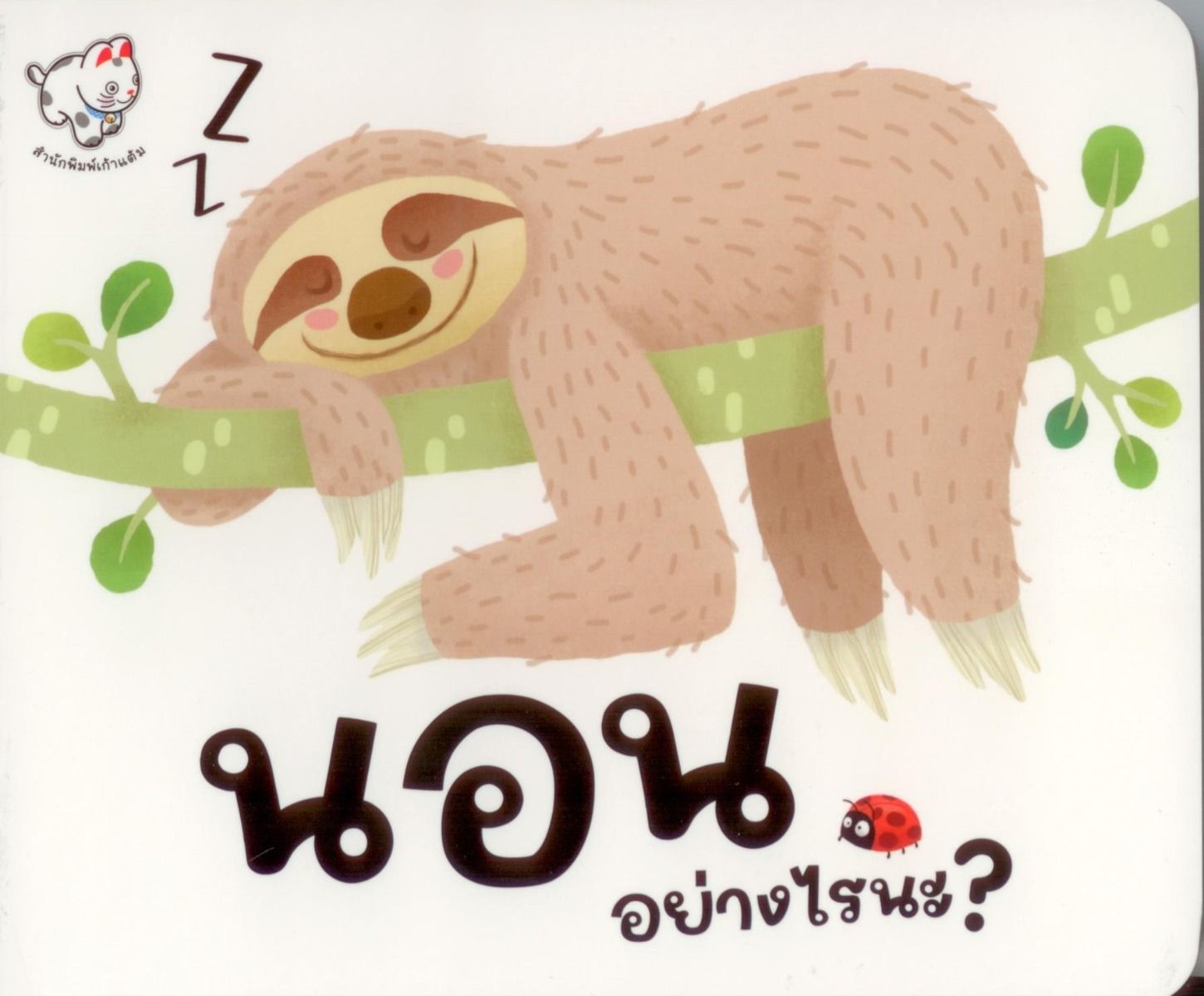 นอนอย่างไรนะ?