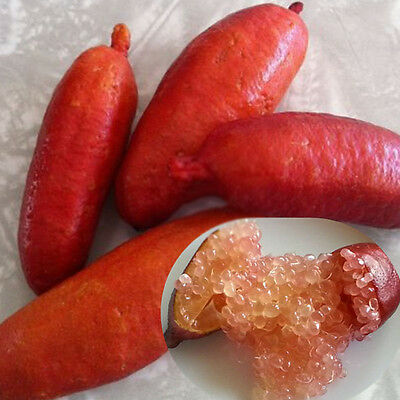 มะนาวนิ้ว (Finger Lime) Pink Ice / 10 เม็ด (นอก)