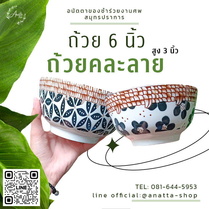 ถ้วย 6 นิ้วคละลาย