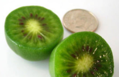 กีวี่ มินิ (Kiwi mini) / 50 เม็ด (China)