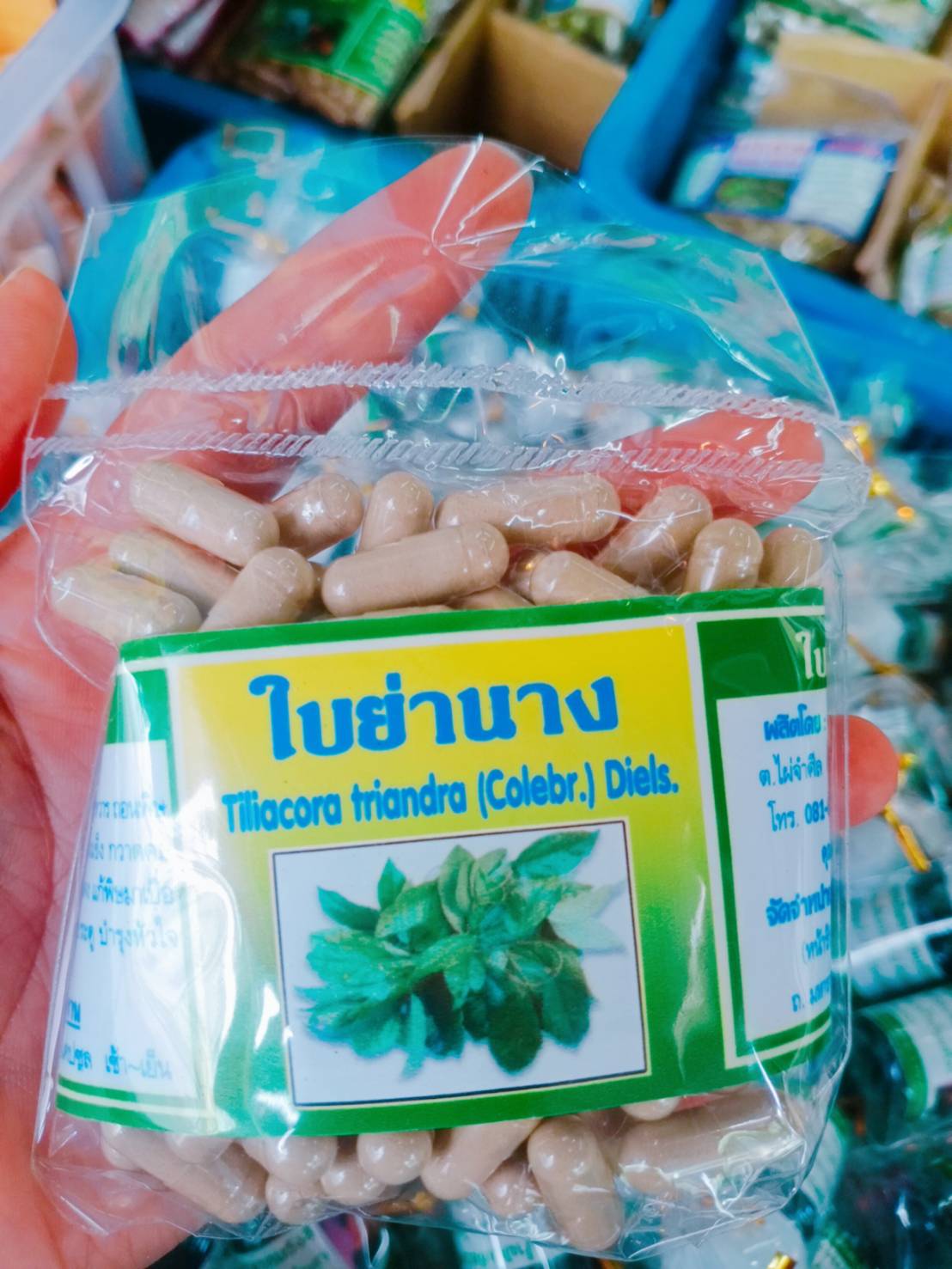 ใบย่านาง สมุนไพรพรหมรังสี