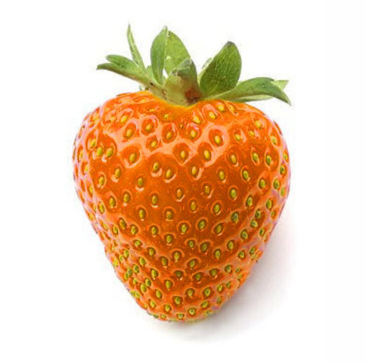 สตรอเบอรี่ สีส้ม (Orange Strawberry) / 100 เม็ด