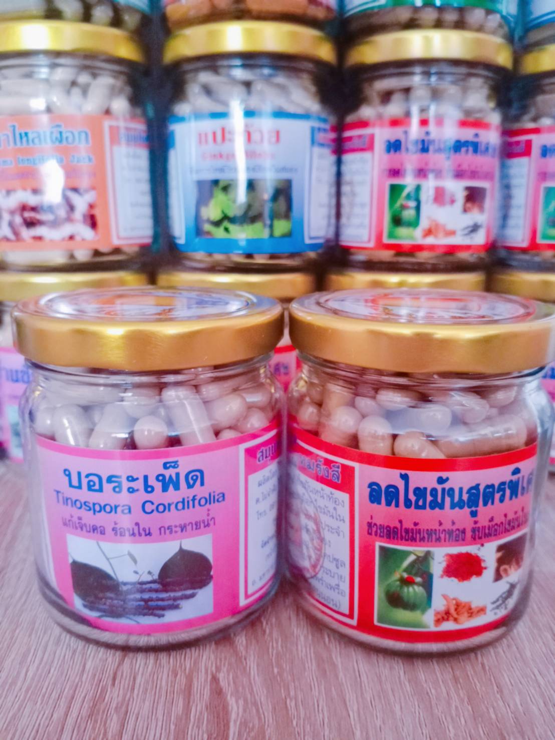 บอระเพ็ด สมุนไพรพรหมรังสี