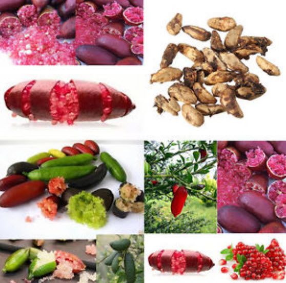 มะนาวนิ้ว (Finger lime) คละ / 20 เม็ด (นอก)