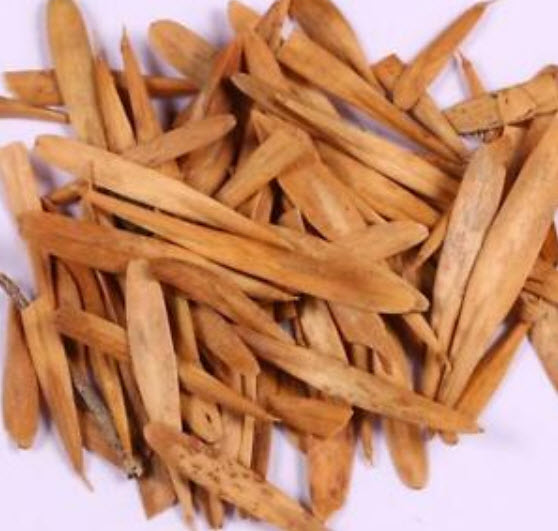 สวีทวิลเลี่ยม-ทรู อเมริกา (Sweet William - True America) / 50 เม็ด (นอก)