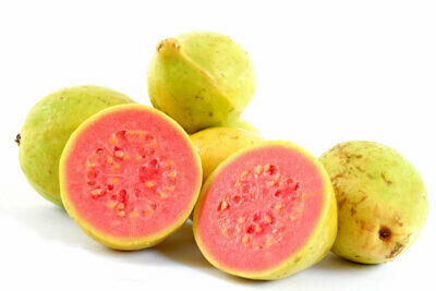 ฝรั่งไส้แดง (Guava) / 50 เม็ด (Russia)
