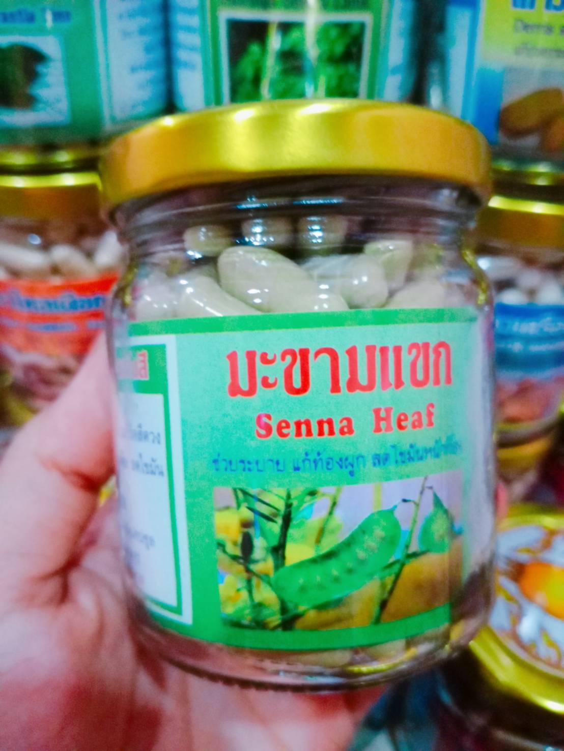 มะขามแขก สมุนไพรพรหมรังสี