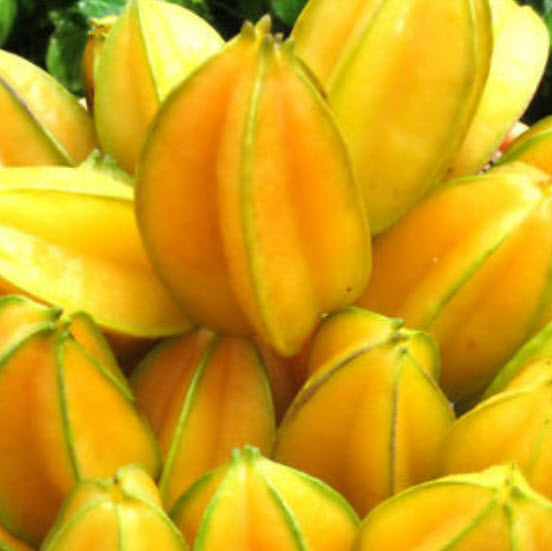 มะเฟือง (Carambola) / 50 เม็ด (นอก)