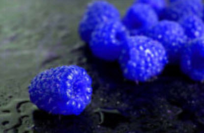 ราสเบอรี่ (Raspberry) สีน้ำเงิน / 100 เม็ด