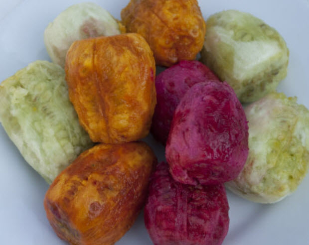 กระบองเพชรทานผล (prickly pear) คละ 3 สี / 20 เม็ด (Malta)