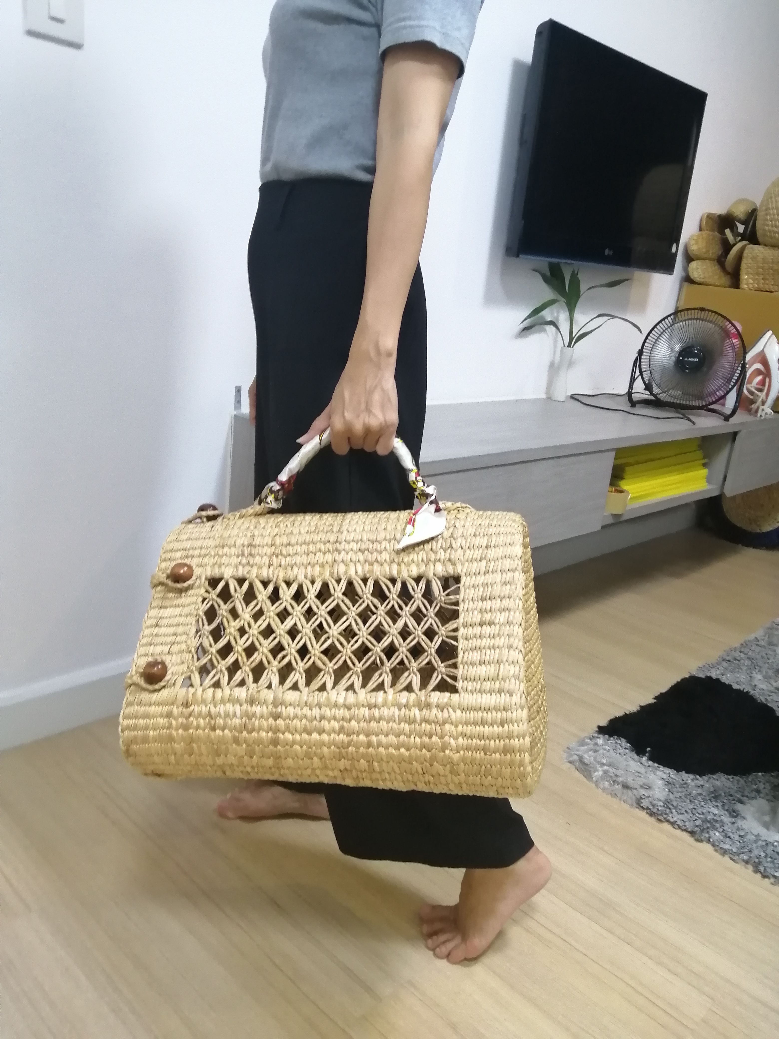 BSS502A :กระเป๋าแมว, กระเป๋าเดินทางแมว ราคาส่ง 3 ใบ