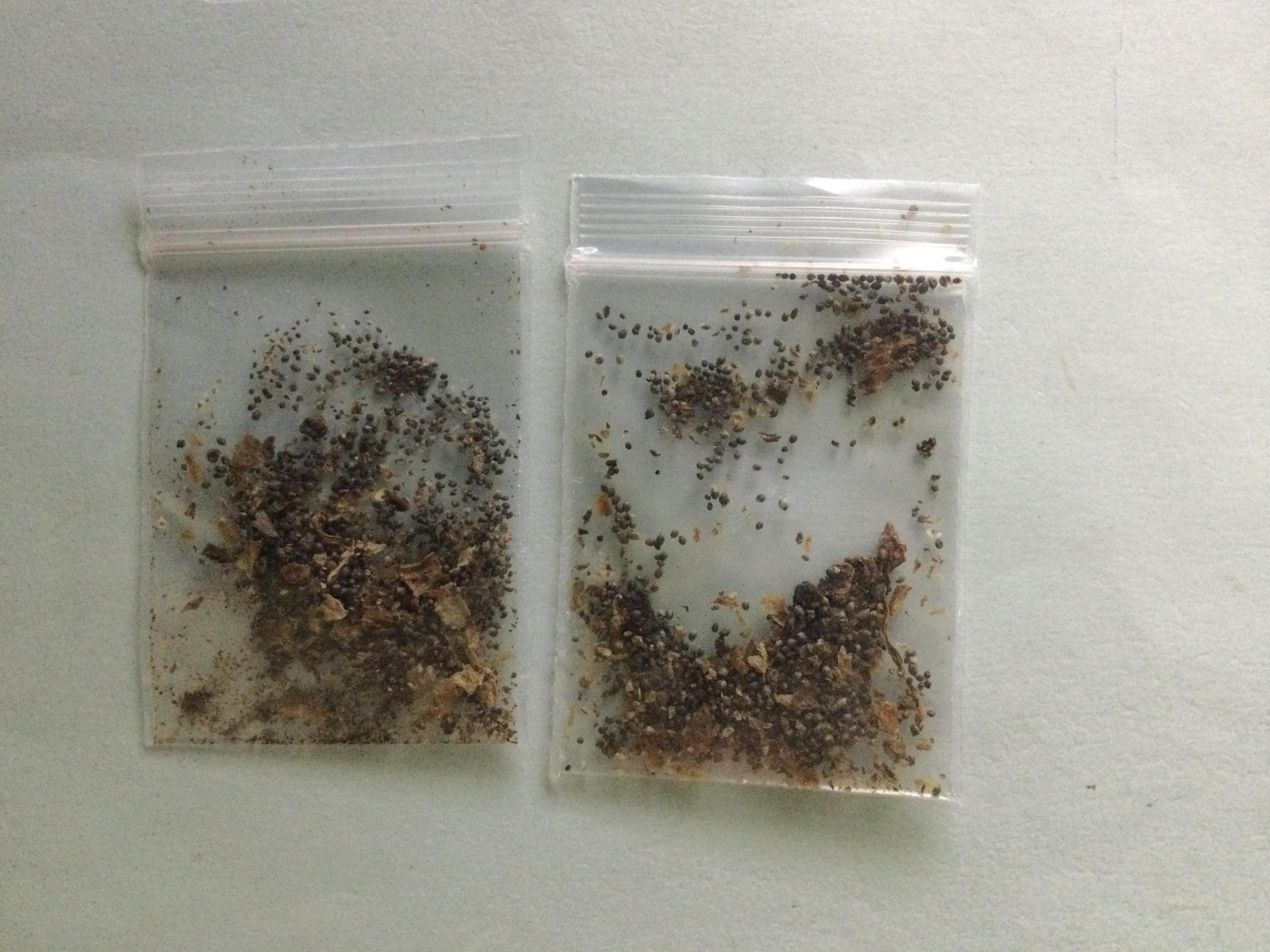 บัวสายขาว / 200 เม็ด*