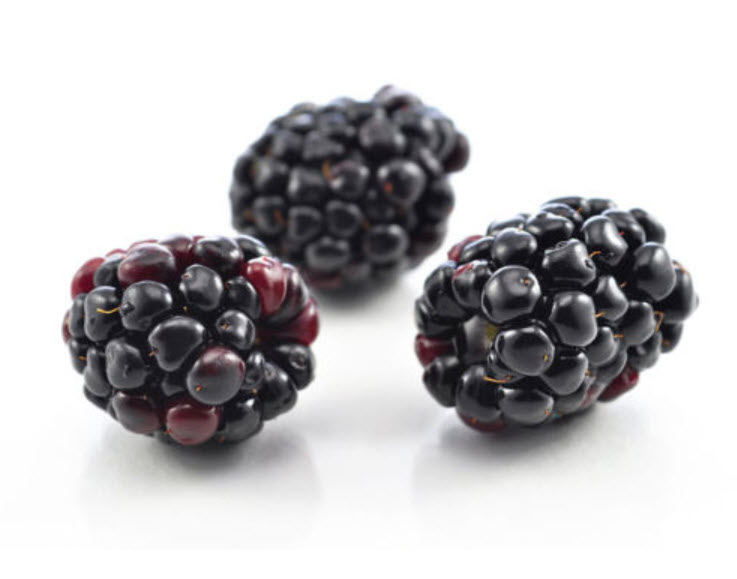 แบล๊คเบอรี่ (Blackberry) / 100 เม็ด (S010)