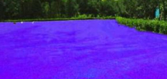 หญ้าฟาง (Fescue grass) สีม่วง / 500 เม็ด