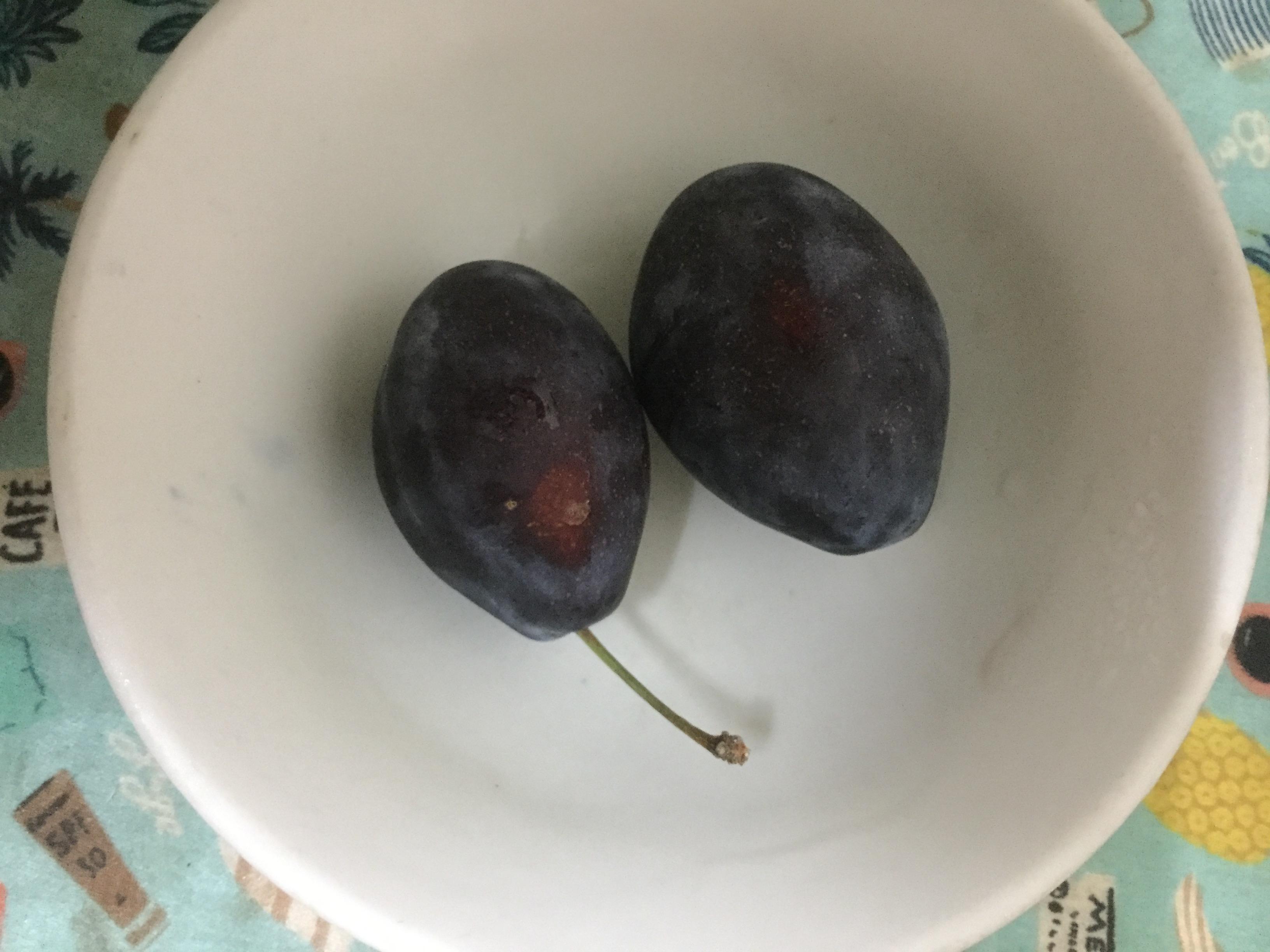 เมล็ดพรุนสด (fresh prune) / 2 เม็ด (Georgia)