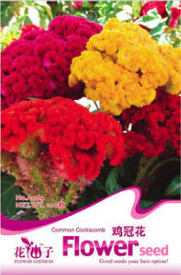 หงอนไก่ (Cockscomb) คละสี / ซอง 100 เม็ด (A064)