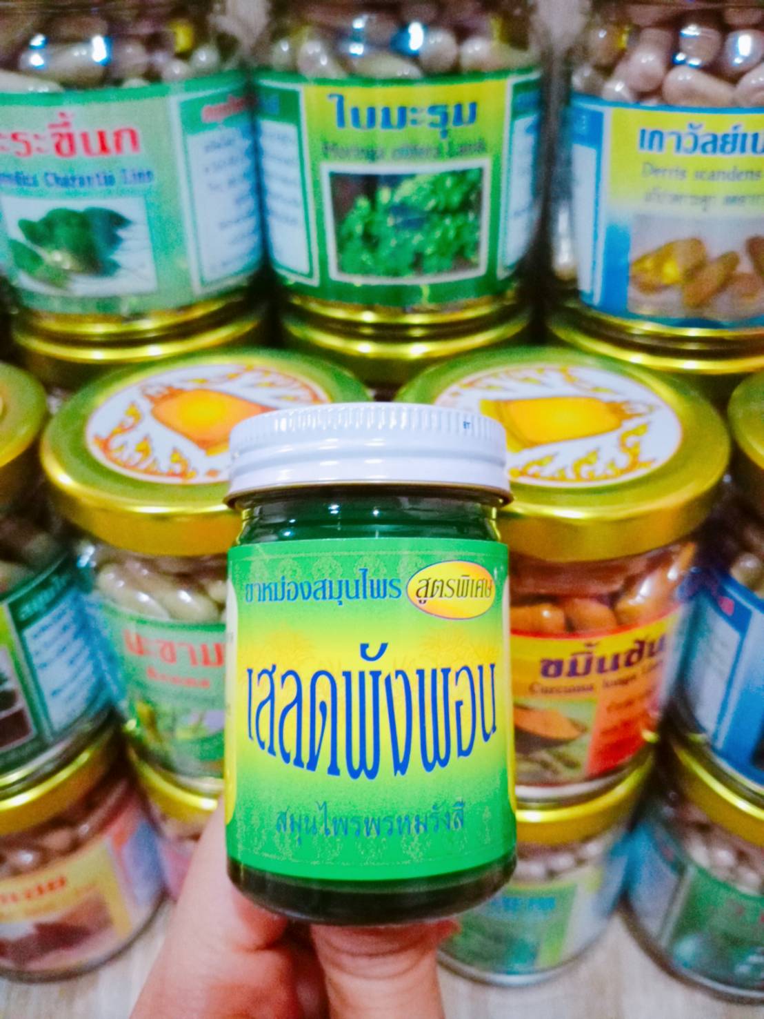 เสลดพังพอน สมุนไพรพรหมรังสี