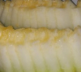 แตงบูคาร่า (Bukhara Muskmelon) อร่อยที่สุดในโลก / 5 เม็ด (Uzbekistan)