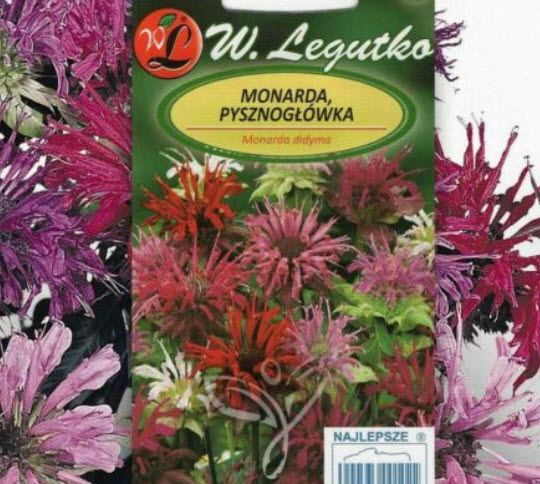 เบอกาม็อท (Bergamot) / 100 เม็ด (Lithuania)