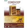 HOF CORDYCEP ถั่งเช่าออแกนิค ผสมวิตามินรวม