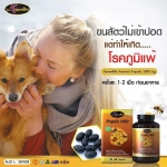 ภูมิแพ้อากาศในเด็ก