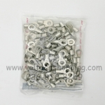 หางปลากลมเปลือย R10