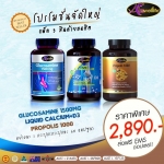 ชุดใหญ่ไฟกระพริบ ดูแลกระดูกและข้อ ลดการอักเสบ (Glucosamine + Liquid Calcium + Propolis)