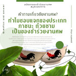 ทำไมชอบแจกของประเภทภาชนะ ถ้วยชาม เป็นของชำร่วยงานศพ