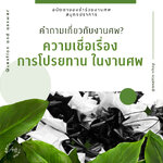 ความเชื่อเรื่องการโปรยทาน ในงานศพ