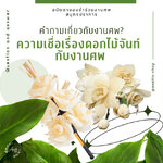 ความเชื่อเรื่องดอกไม้จันท์ กับงานศพ