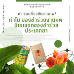 ทำไม ของชำร่วยงานศพ นิยมแจกของชำร่วยประเภทยา
