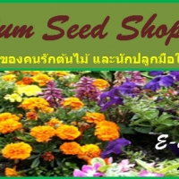 ร้านPremium Seed Shop ร้านPremium Seed Shop