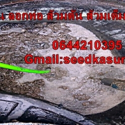 บริการดูดส้วม สูบส้วม 0644210395 มานพเซอร์วิส ล้างบ่อเกรอะ สูบไขมัน ขนย้ายจุรินทร์ซี
