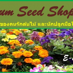 Premium Seed Shop