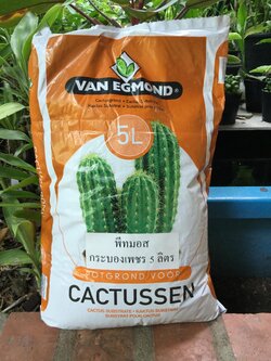 พีทมอสปลูกแคคตัส ขนาด 5 ลิตร / ถุง (ค่าส่งดูที่รายละเอียดสินค้า)