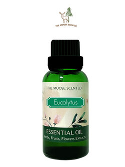 Eucalyptus Essential Oil