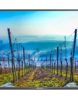 Hisense Digital Signage 55B4E31T