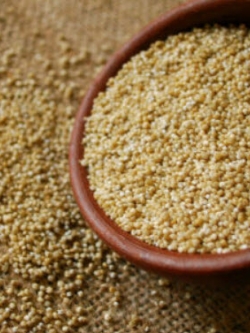 ควินัวขาว (White Quino) สีขาว / 200 เม็ด (Moldova)