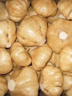 มันแกว (Sweet Mountain Potato) / 10 เม็ด (Vietnam)