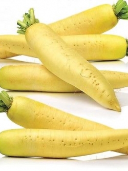 ไชเท้าสีทอง (Golden radish) / 50 เม็ด (Ukraine)