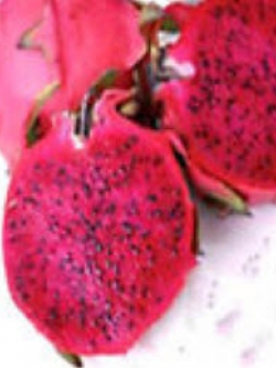 แก้วมังกรแดง (Red Pitaya) แดง เนื้อแดง / 50 เม็ด (นอก)