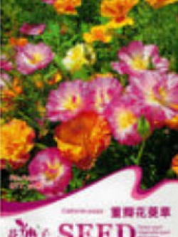 แคลิฟอร์เนียป๊อปปี้ (California Poppy) คละ แบบ A / ซอง 50 เม็ด