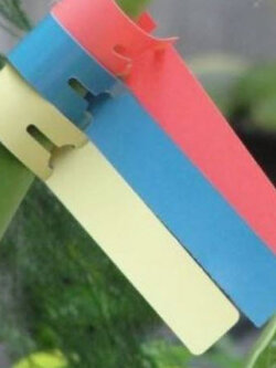 ป้ายชื่อแบบคล้อง คละสี / 25 ชิ้น (ไต้หวัน)