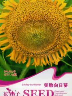 ทานตะวัน (Smiley sunflower) / ซอง 15 เม็ด (A278)