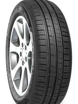 255/45R18 MINERVA F205