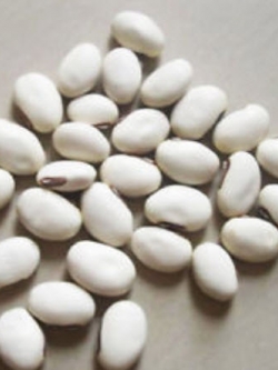 Sword bean / white Knifebean ซอง 3 เม็ด (B063)