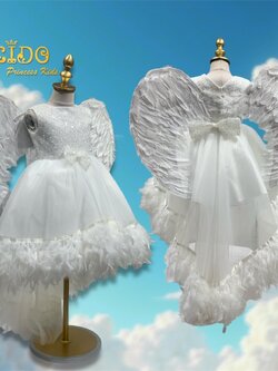 ปีกเด็ก *มีหน้าร้าน ตรงปก พร้อมส่ง *W04 ปีกนางฟ้าไซส์S(60*45)ขนนกสีขาว ทรงโค้ง แสนสวย พร็อพสำหรับตกแต่งชุดนางฟ้าน่ารัก